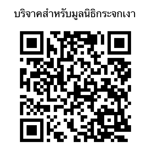 PayPal QR
